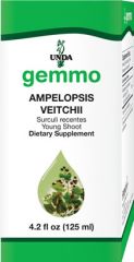 Ampelopsis veitchii