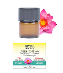 Lotus Rose 100% Absolue sauvage
