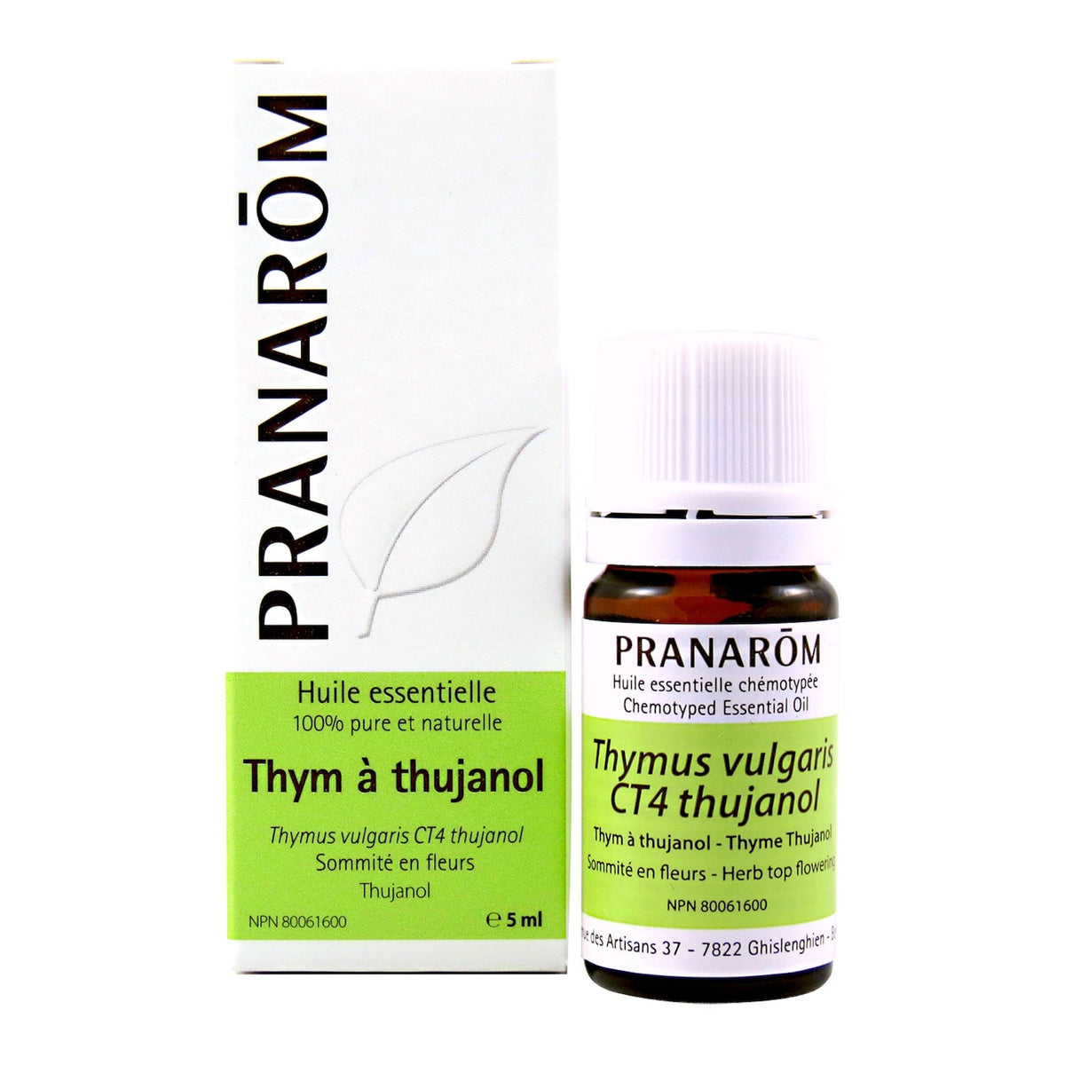 Thym à thujanol