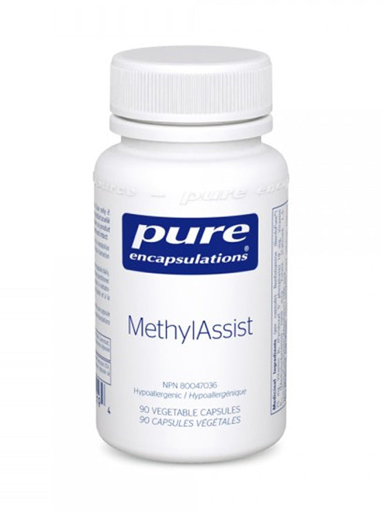 MethylAssist