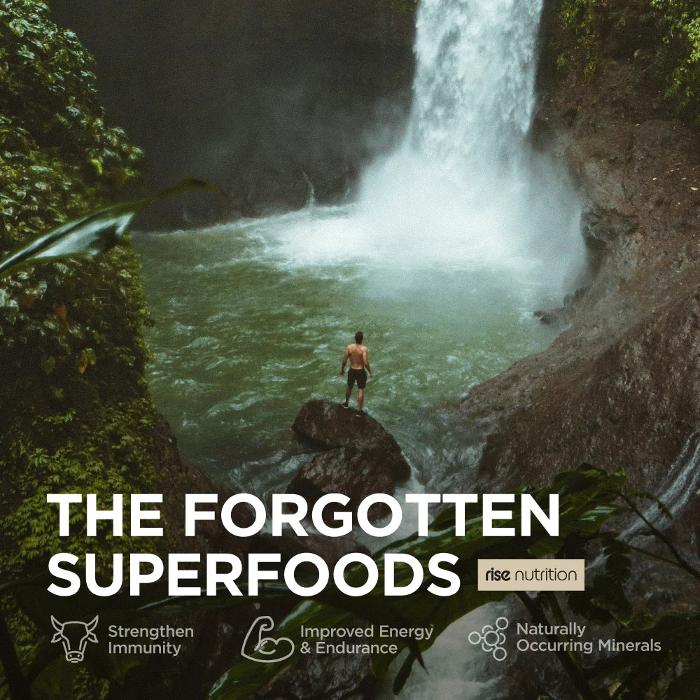 Grass-fed Beef Organs