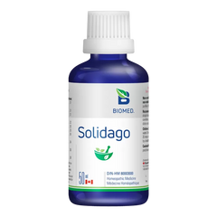 Solidago