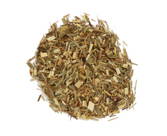 Verveine des Indes
